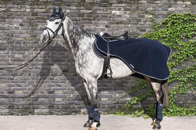 Nierendecke Equiline Horse Academy TV .de